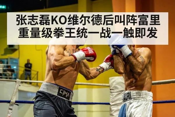 张志磊KO维尔德后叫阵富里 重量级拳王统一战一触即发
